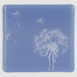 Glass Screen-Printed, Kiln-Fired Dandelion Coaster